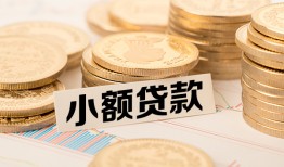 东莞31空放-东莞31个人短借-东莞31身份证小额贷款
