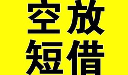 东莞31空放-东莞31个人借贷不查征信-东莞31短借私人