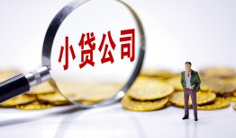东莞31空放贷款当天下款-东莞31上门空放-东莞31短借私借空放