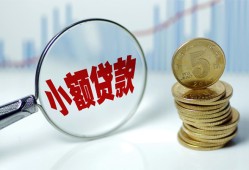 东莞31哪里可以小额贷款-东莞31哪里有民间借贷-东莞31民间短期私借借款