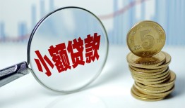 东莞31哪里可以小额贷款-东莞31哪里有民间借贷-东莞31民间短期私借借款