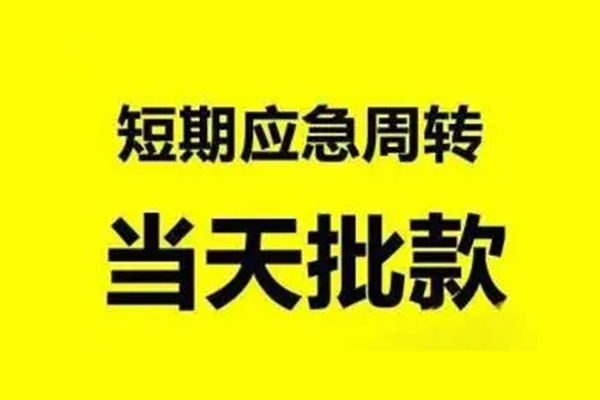 东莞31小额贷款公司